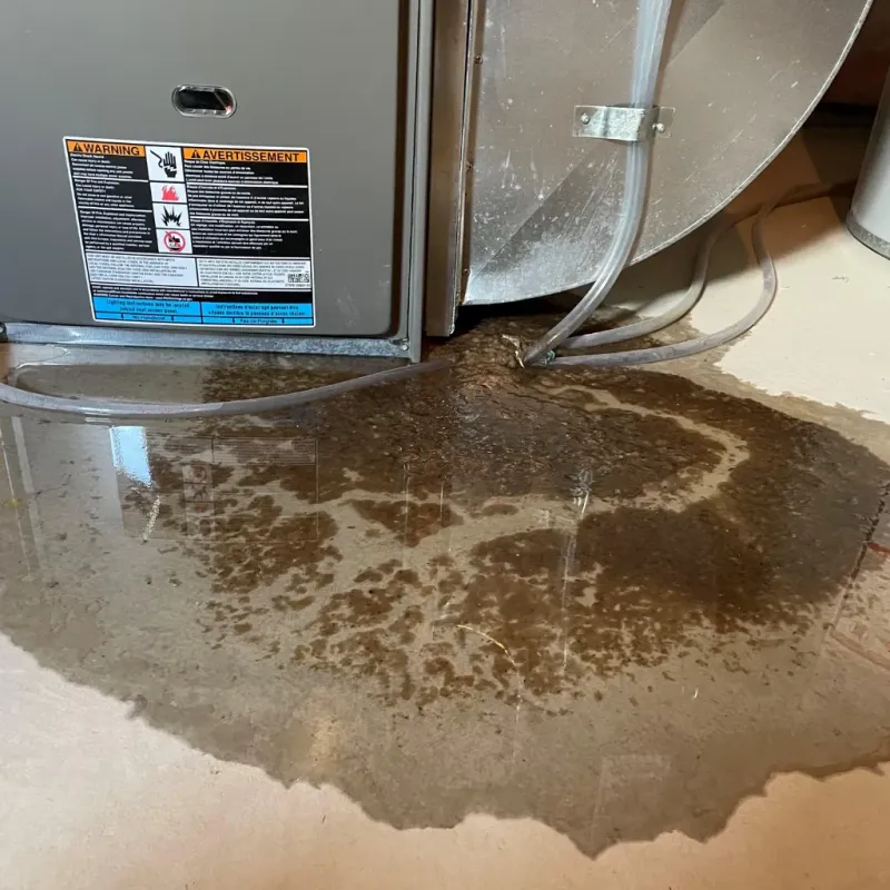 Appliance Leak Cleanup in Lowell, MI